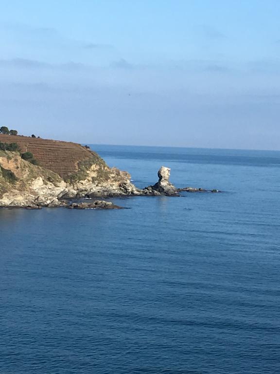 Ibis Styles Collioure Port Vendres Hotel Exterior foto